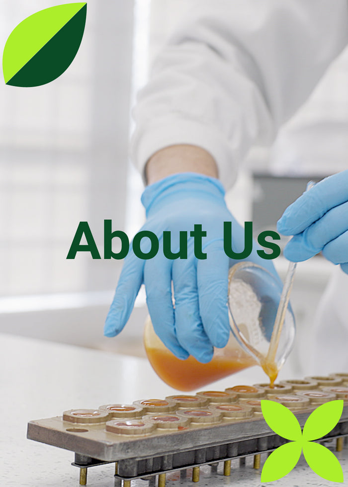 About Us